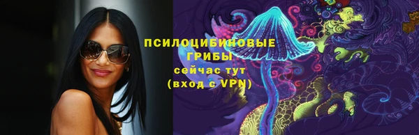 тгк Абаза