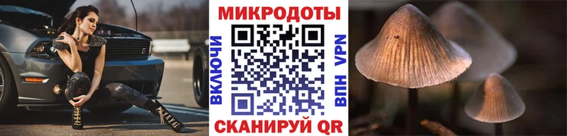 закладка  Сафоново  Псилоцибиновые грибы Cubensis 