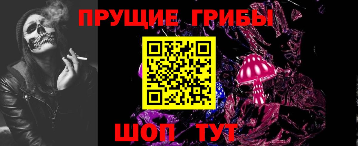 Псилоцибиновые грибы мицелий Сафоново